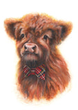 Wee Coo (Greeting Card) | Highland Cow Card