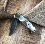 Deer Stag Pocket Knife