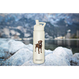 Chocolate Labrador Drink Bottle