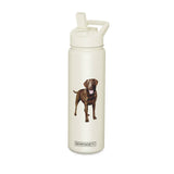 Chocolate Labrador Drink Bottle