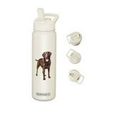 Chocolate Labrador Drink Bottle