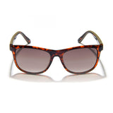 Gidgee Eyewear - Fender - Amber Tort